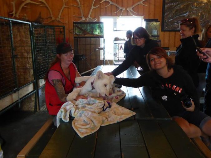 Moi trop heureuse avec bébé lion