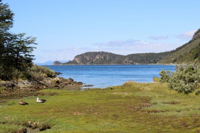 285-tierra-del-fuego-national-park