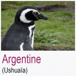 Argentine Ushuaia