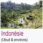 Indonésie Ubud Environs