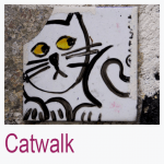Catwalk