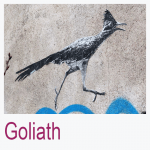 Goliath