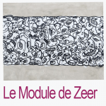 Le Module de Zeer