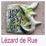 Lézard de Rue