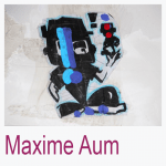 Maxime Aum