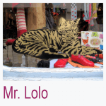 Mr. Lolo