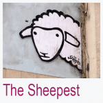 The Sheepest